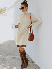 Turtle Neck Long Sleeve Knit Dress