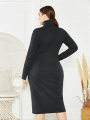 Plus Size Turtleneck Dress
