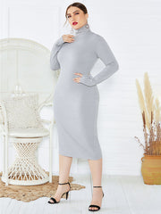 Plus Size Turtleneck Dress