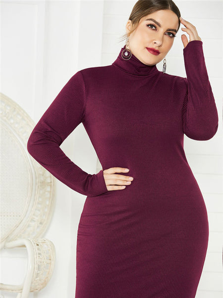 Plus Size Turtleneck Dress