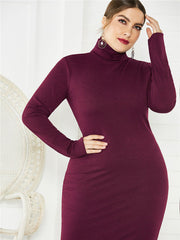Plus Size Turtleneck Dress