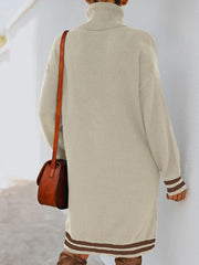 Turtle Neck Long Sleeve Knit Dress