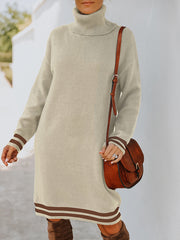 Turtle Neck Long Sleeve Knit Dress