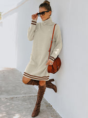 Turtle Neck Long Sleeve Knit Dress