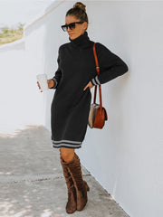 Turtle Neck Long Sleeve Knit Dress