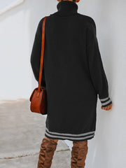 Turtle Neck Long Sleeve Knit Dress