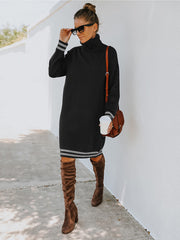 Turtle Neck Long Sleeve Knit Dress