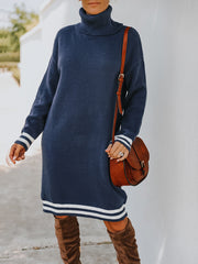Turtle Neck Long Sleeve Knit Dress
